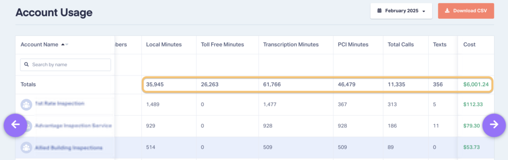 Screenshot of usage costs in a WhatConverts account.