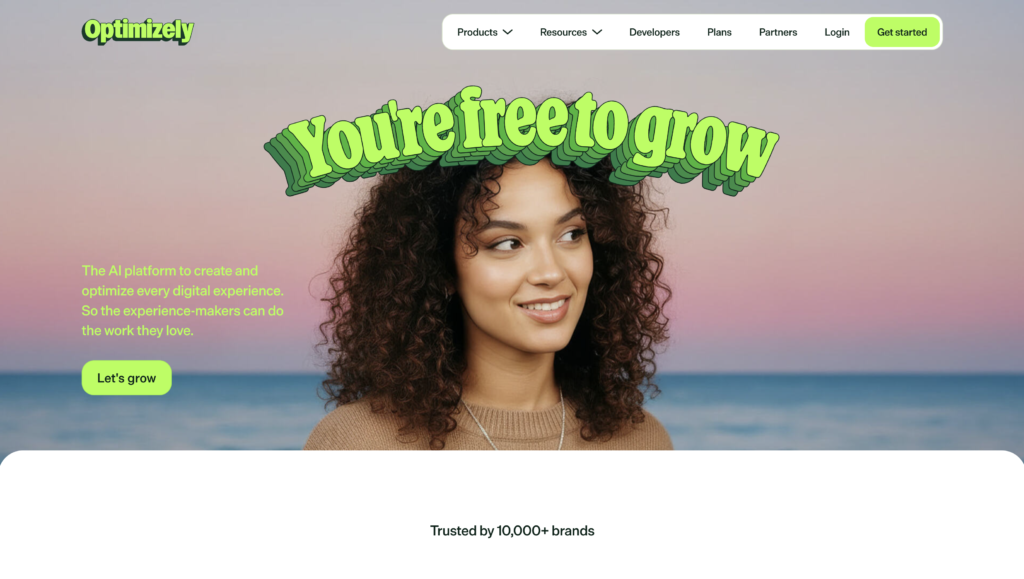 Screenshot-Optimizely-Homepage